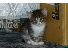 ����������