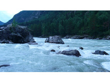 ����� �����