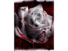 �����,� ��� ��������