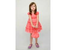 550� ����� ����� 100% ������