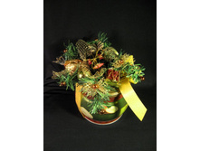 ���� 302.jpg