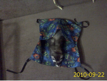 22.09.2010 18:39:07