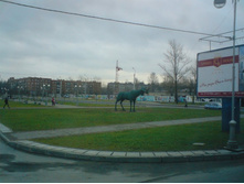 �������. ���� �� �����