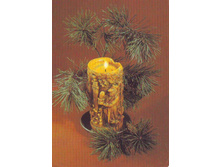 � ����� �����0005.JPG