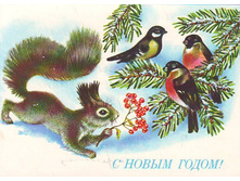 � ����� �����0007.JPG