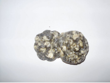 ����� ��� ����