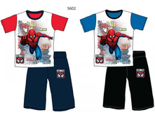  ������ ������� ����/5602.jpg