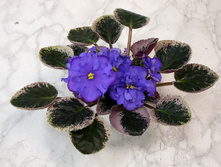 ��-������� �����.jpg