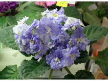 ��-������ ���.jpg