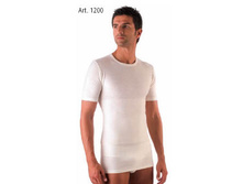 1200 �������� ������� �����������