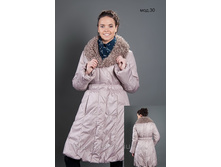 ���� 3100 ��� �� 42 �� 52 �������