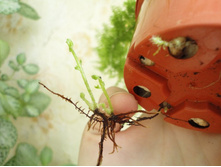 �� ���������� ��������� ������ ����������.JPG