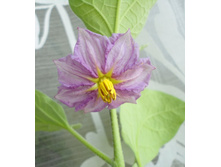 �������� ������.JPG