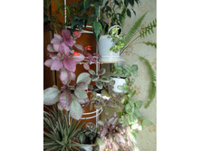 ����� ���.JPG