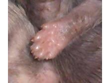 ������� :)