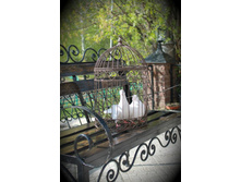 IMG_������ � ������.JPG