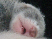 � ��� ���� ����!