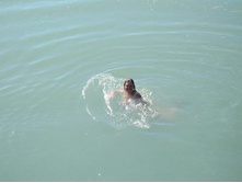 ����������� 067