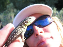 ����������� 072