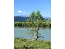 ����������� 019