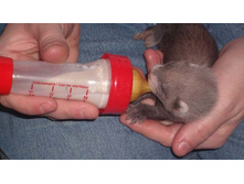 24 ���. �������