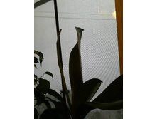 �������� ��������. ������.