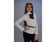 ������ � ����� �������� � ������� 9060 �����  800 ���. 