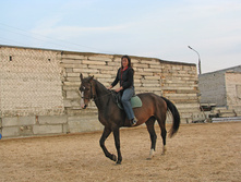 ����������