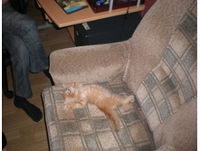 ��������� ����.JPG