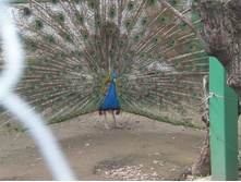 ������, ���� ��� �� �����!))) 