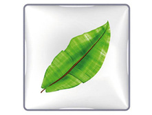 �������� A*B*A*C*C*A ������� 24�� 