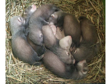 28 ����, ������� ���������