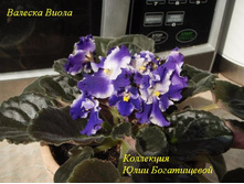 ������� �����