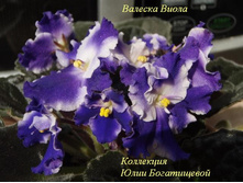 ������� �����