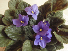 ������������