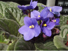 ������������