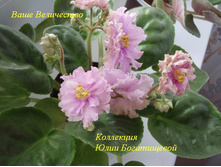 ���� ����������