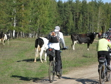 26.09.2010 11:07:36