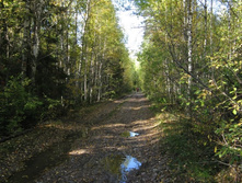 26.09.2010 11:13:46