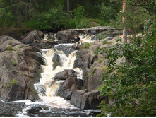 � ���� ����� �����