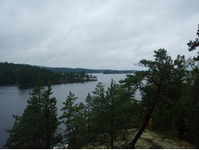 ������������ ����