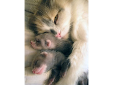 ����... �� ����..