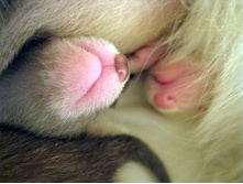 ������ :)