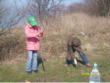 ������ ��� ��������, ���� "��������" 