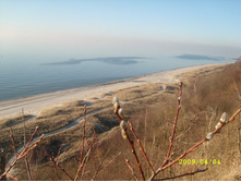 ����� ������� �����������