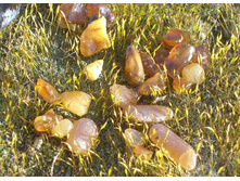 "���������" �������