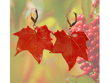 ������_�������� ����_5.jpg