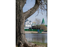 20120506-DSC03720.jpg