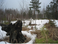 ����������� ��� �����