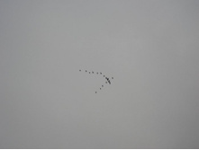 ���������� ����